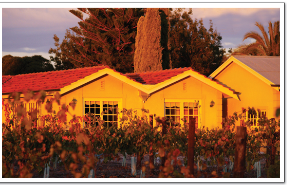 RedNectar Vineyards - Tammy & Stuart Schutz